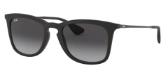 RAY-BAN RB4221 622/8G